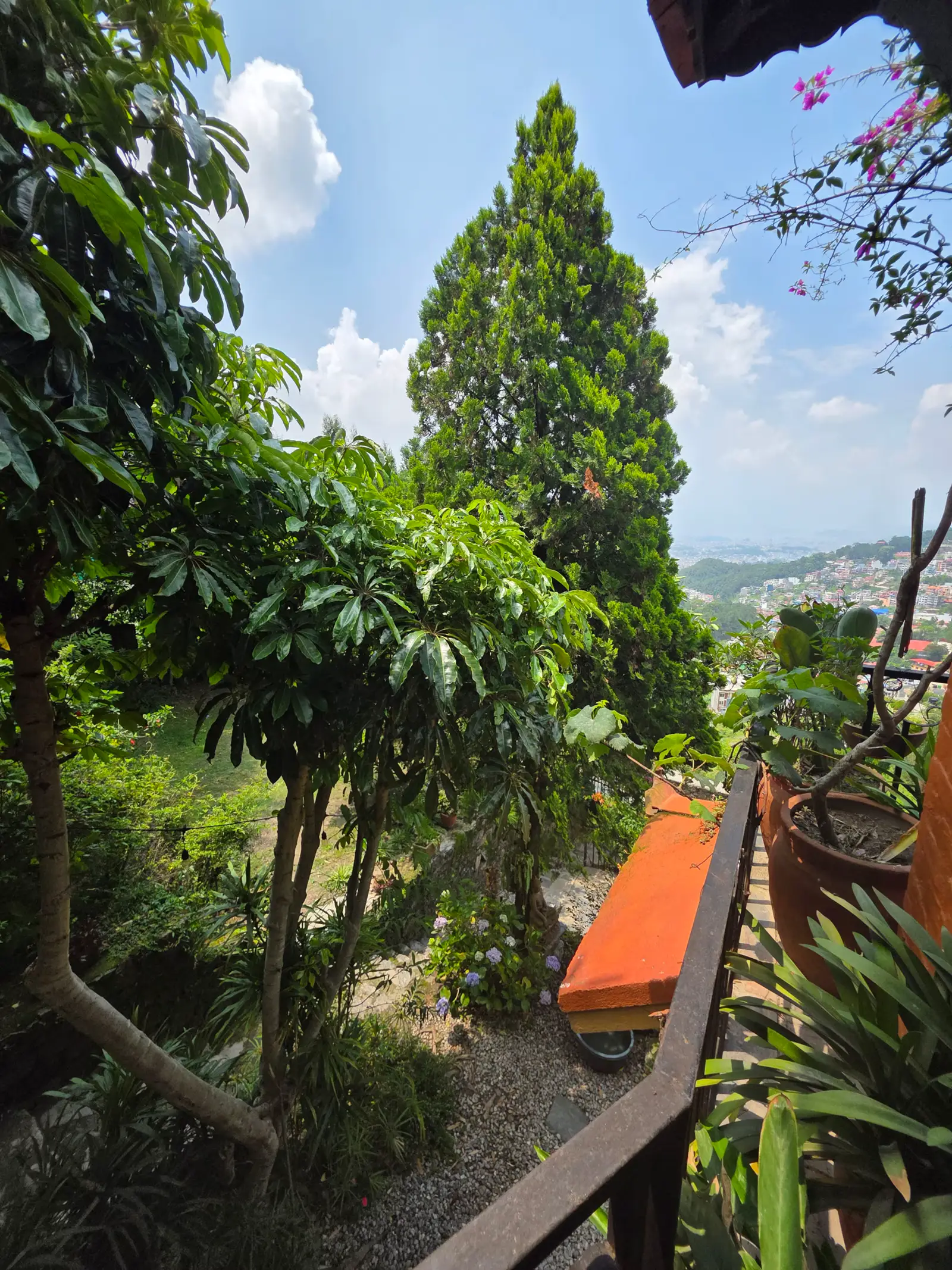 Garden terrace with tall trees and an orange daybed